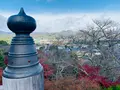 法輪寺の写真_479342