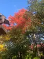 西山艸堂の写真_479362