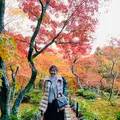 人力車のえびす屋 京都嵐山總本店の写真_479373