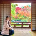 宝筐院の写真_479383