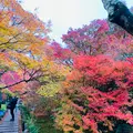 宝筐院の写真_479388