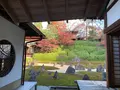 東福寺　光明院の写真_479469