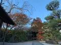 東福寺　光明院の写真_479471