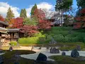 東福寺　光明院の写真_479473
