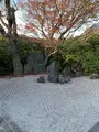 東福寺　光明院の写真_479476