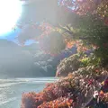 渡月橋の写真_479539