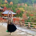清水寺の写真_479546