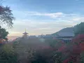 清水寺の写真_479547