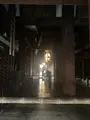 清水寺の写真_479548