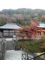 清水寺の写真_479558