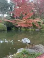 清水寺の写真_479560