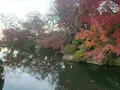 清水寺の写真_479562