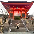 清水寺の写真_479564