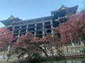 清水寺の写真_479565