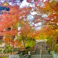 清水寺の写真_479568