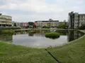 盧纉祥公館の写真_479645