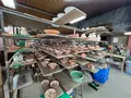 壺屋焼窯元 陶眞窯の写真_479875