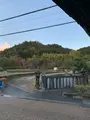 嵐山の写真_479954