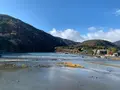 嵐山の写真_479955