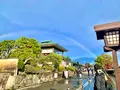 嵐山の写真_479956