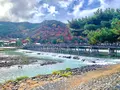 嵐山の写真_479961