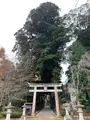 諏訪神社の写真_480040
