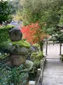 玉作湯神社の写真_480274