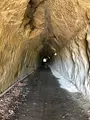 永昌寺トンネルの写真_480371