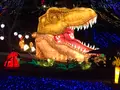 東京ドイツ村の写真_480393