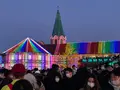 東京ドイツ村の写真_480394
