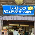 東京ドイツ村の写真_480400