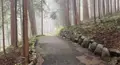天狗の小径の写真_480667