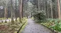 天狗の小径の写真_480668