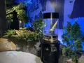 足摺海洋館の写真_481206
