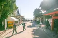 青島神社の写真_481300