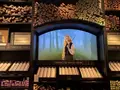 Harry Potter New Yorkの写真_481458