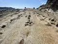 竜串海岸の写真_482222