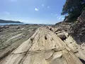 竜串海岸の写真_482225