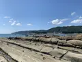 竜串海岸の写真_482226