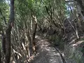 見残し海岸の写真_482242
