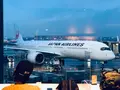 羽田空港第1旅客ターミナルの写真_482580