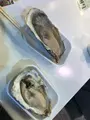 近江町市場の写真_483304