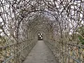 森林の歌の写真_483773