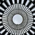 森林の歌の写真_483777