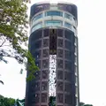 嘉義公園の写真_483821