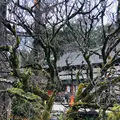 下鴨神社（賀茂御祖神社）の写真_483942