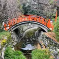 下鴨神社（賀茂御祖神社）の写真_483943