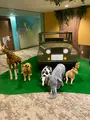 ロイヤルホテル 那須の写真_484514