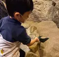 宝石探し トレジャーストーンパークの写真_484689