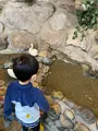 宝石探し トレジャーストーンパークの写真_484691